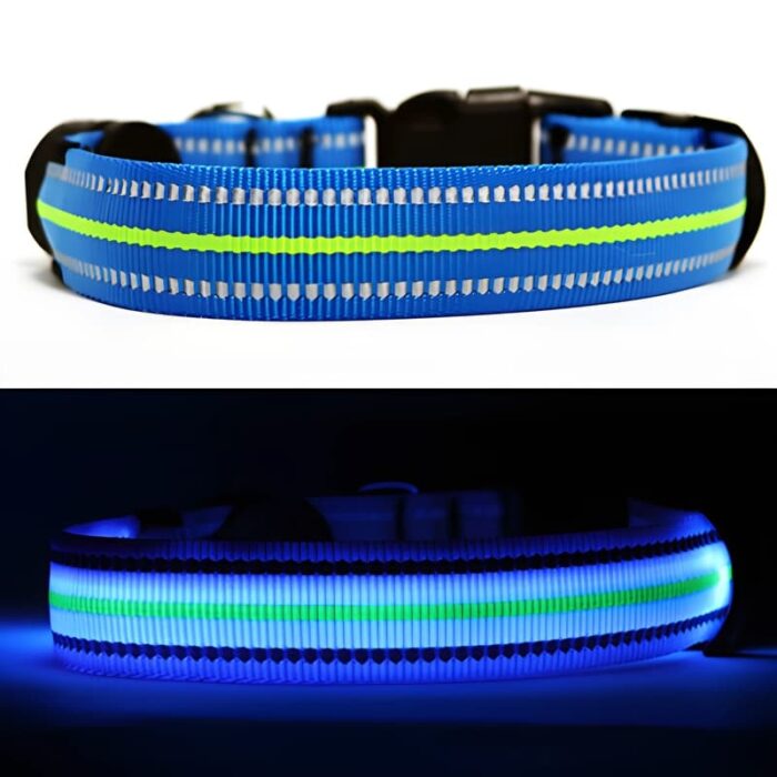 Neon Blue LED Dog collar turned off and turned on lighting up bright
