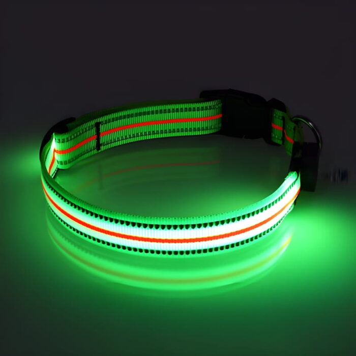 Green LED Dog Collar lighting up in dark room