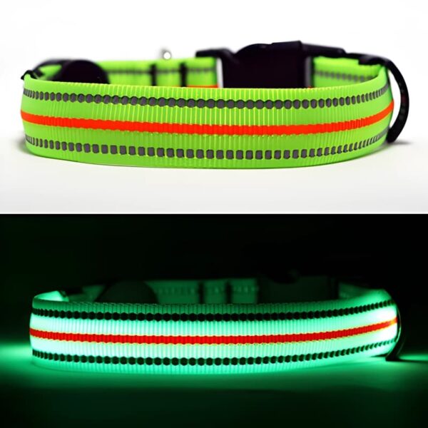 Neon Green LED Dog collar turned off and turned on lighting up bright