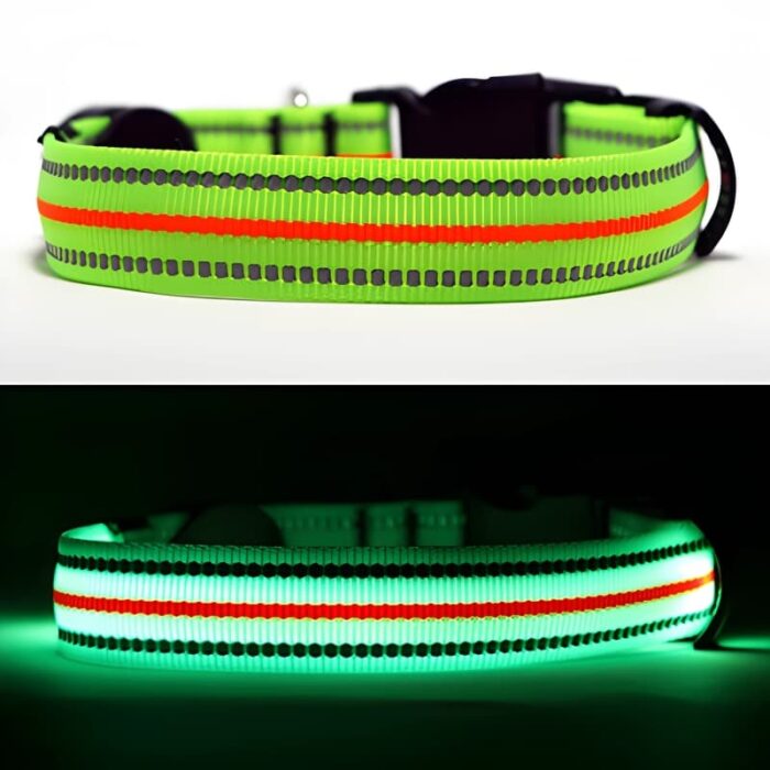 Neon Green LED Dog collar turned off and turned on lighting up bright