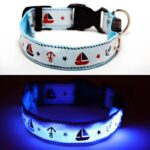 Blue Nautical LED Dog collar on and off