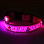 pink LED dog collar lighting up in dark room