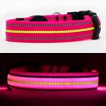 Splitscreen showing Neon Pink LED Dog collar turned off and turned on lighting up bright