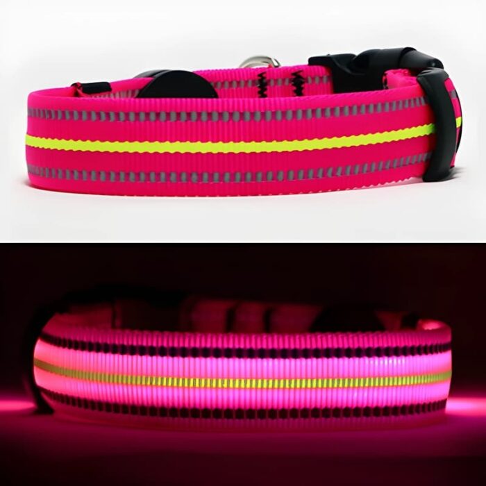 Splitscreen showing Neon Pink LED Dog collar turned off and turned on lighting up bright
