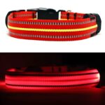 Red LED Light Up Dog Collar On and Off
