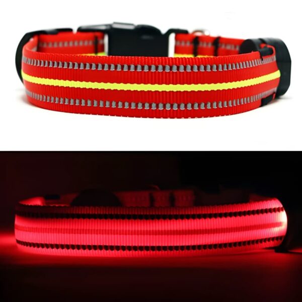 Red LED Light Up Dog Collar On and Off