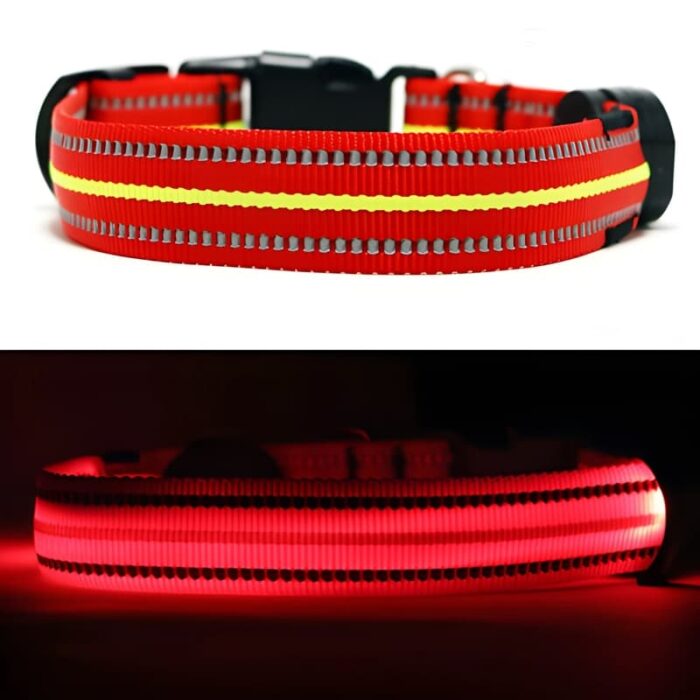Red LED Light Up Dog Collar On and Off