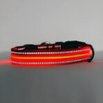 Red LED Dog collar turned on with light reflecting off its nylon reflective strips