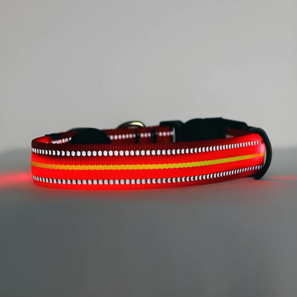 Red LED Dog collar turned on with light reflecting off its nylon reflective strips