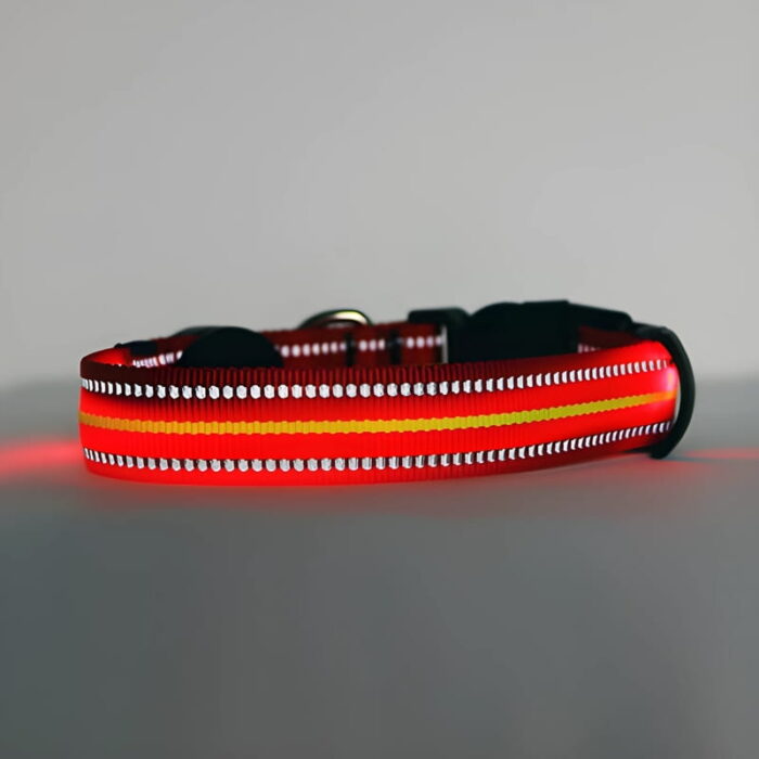 Red LED Dog collar turned on with light reflecting off its nylon reflective strips