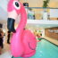 A vibrant pink flamingo inflatable is positioned in the middle of a sparkling pool, creating a fun summer vib